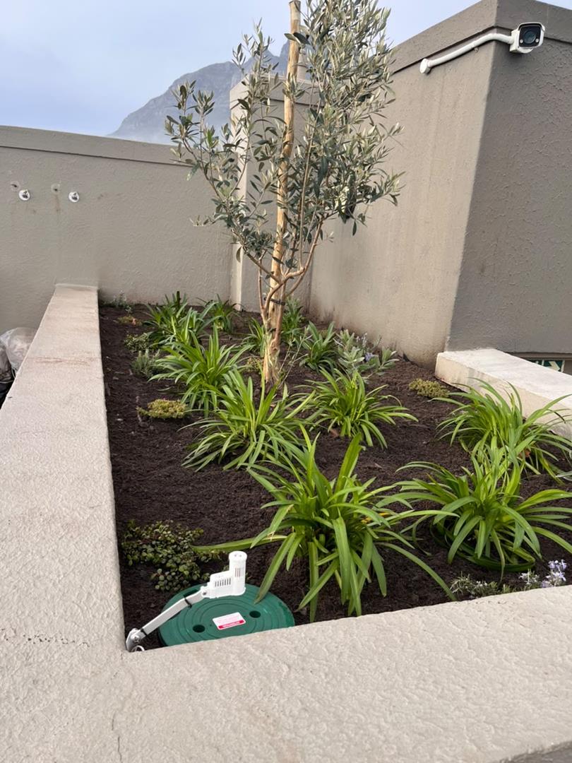 0 Bedroom Property for Sale in Cape Town City Centre Western Cape